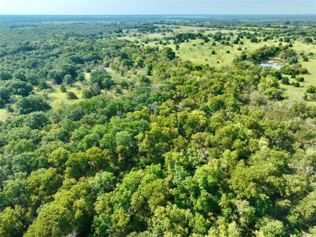 Navarro County - Land