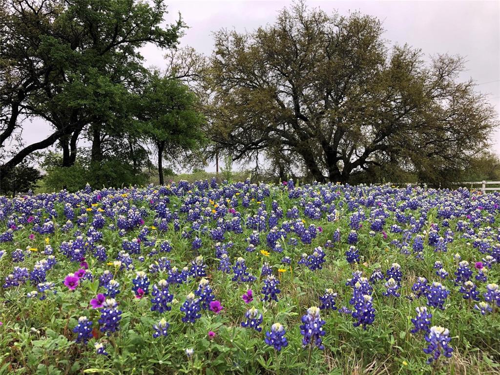 The Oaks At Fall Creek Country Estates Ph One - Residential