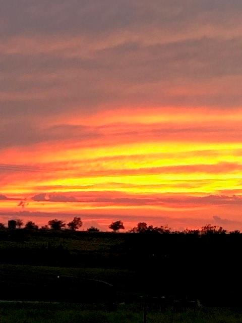 Hillcrest Meadows North Ph 1 - Residential