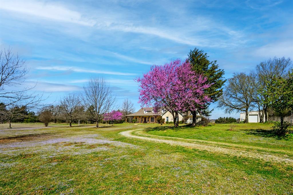 Self George - Residential