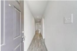 Treaty Oak - Residential