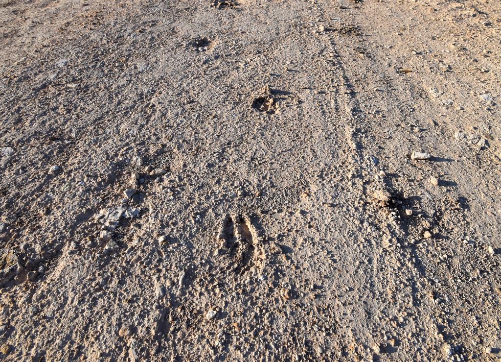 Kurzleben J A - Farm