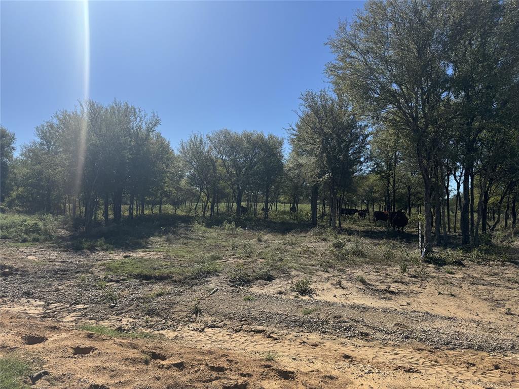 Paradise Oaks Ranch - Residential