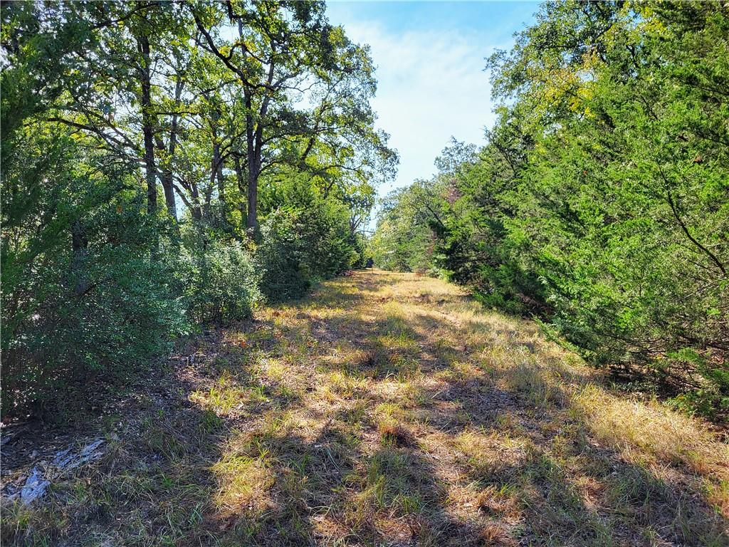 151 Acres LCR 758
