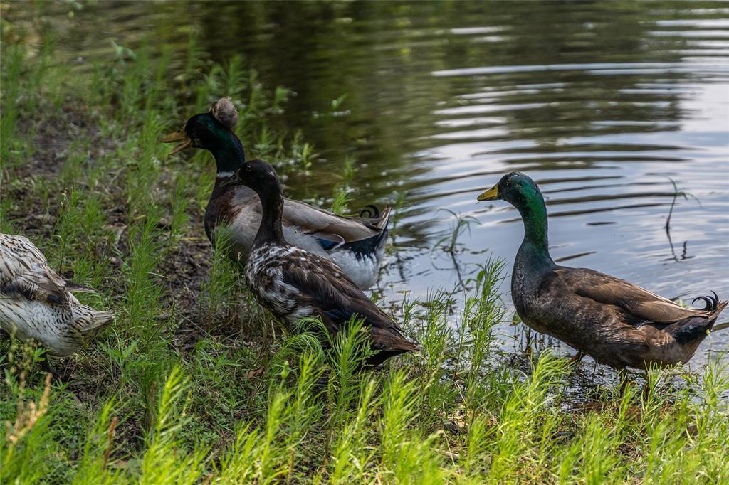 WM BOYLES ABSTRACT SURVEY A-87 - Farm
