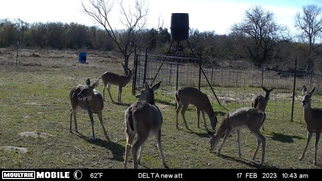 WM BOYLES ABSTRACT SURVEY A-87 - Farm