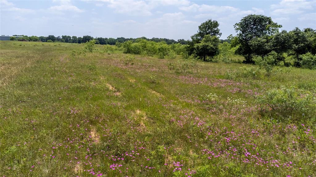 WM BOYLES ABSTRACT SURVEY A-87 - Farm