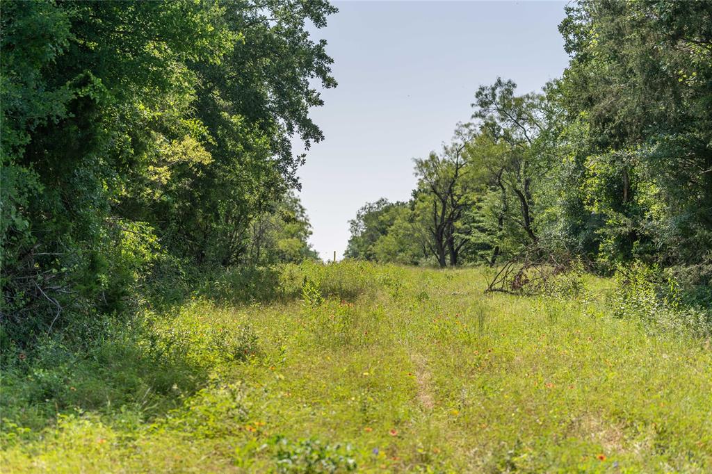 WM BOYLES ABSTRACT SURVEY A-87 - Farm