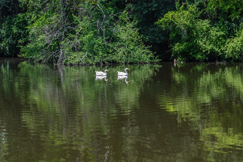 WM BOYLES ABSTRACT SURVEY A-87 - Farm