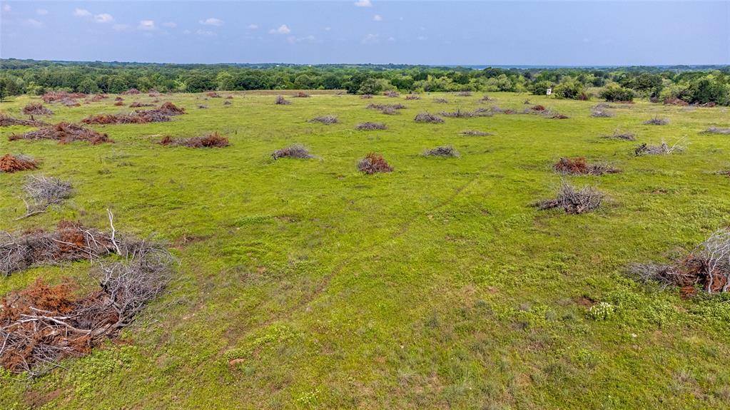 WM BOYLES ABSTRACT SURVEY A-87 - Farm