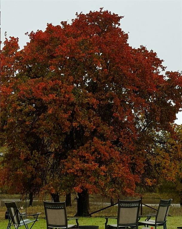 WM BOYLES ABSTRACT SURVEY A-87 - Farm