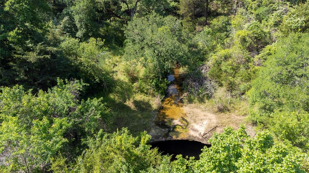 WM BOYLES ABSTRACT SURVEY A-87 - Farm