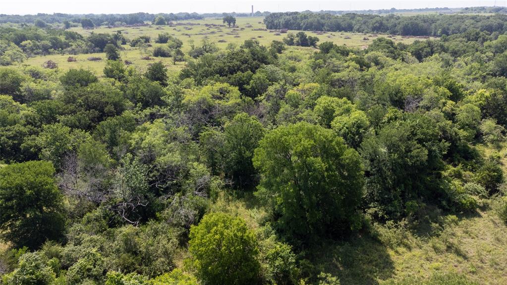 WM BOYLES ABSTRACT SURVEY A-87 - Farm