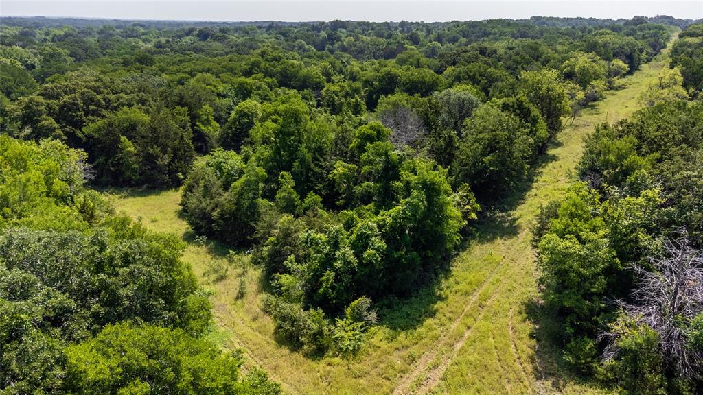 WM BOYLES ABSTRACT SURVEY A-87 - Farm