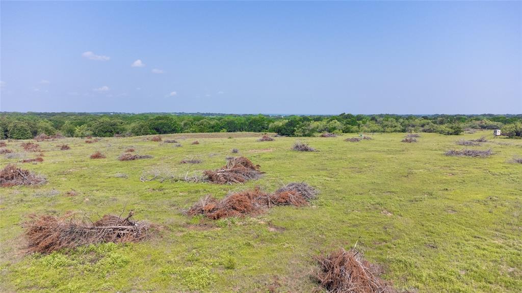 WM BOYLES ABSTRACT SURVEY A-87 - Farm