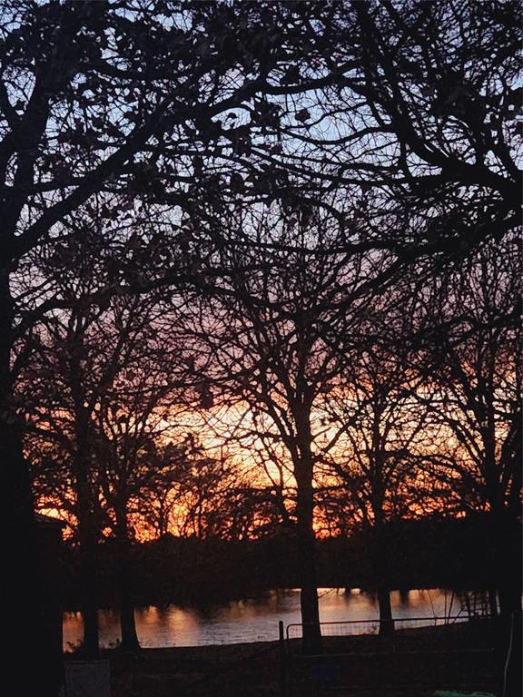 WM BOYLES ABSTRACT SURVEY A-87 - Farm