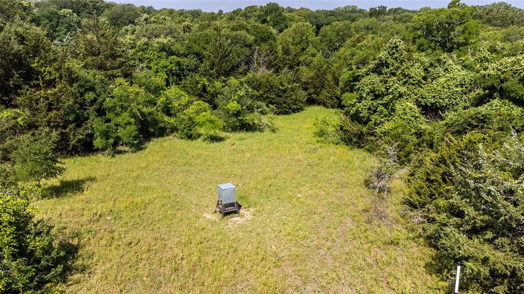 WM BOYLES ABSTRACT SURVEY A-87 - Farm