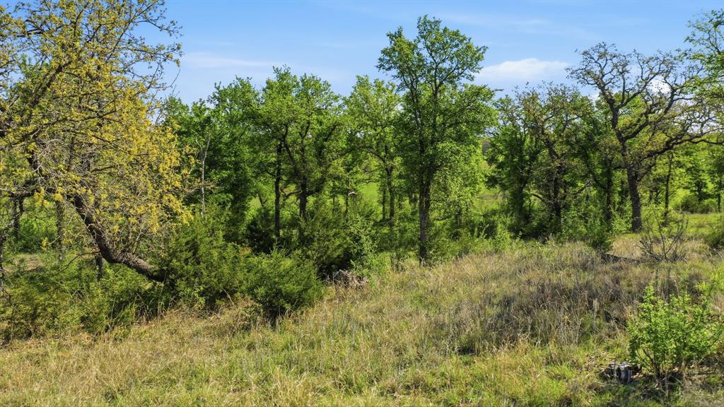 Sierra Vista Ranch - Land