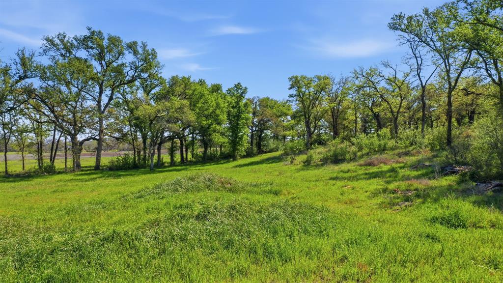 Sierra Vista Ranch - Land