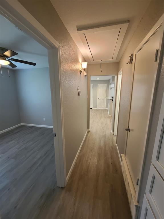 Spring Branch - Residential Lease