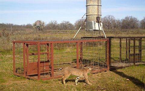 A home in Brownwood