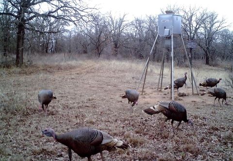 A home in Brownwood