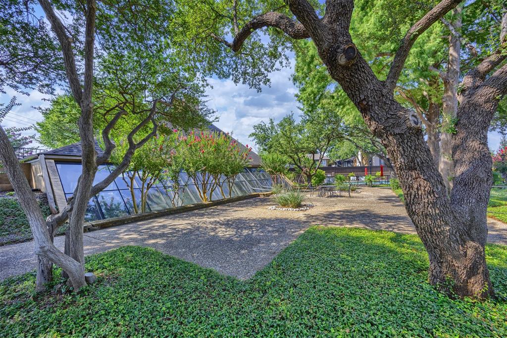15615 Preston Road 1010