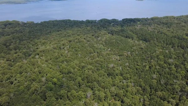 HUDSON RD, MOORINGSPORT, LA 71060 - Image 995f117ae1ccfbeeffd15f5347b176ce/2769172563
