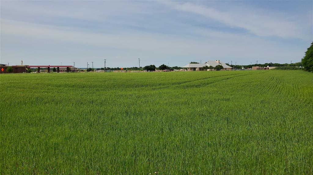 Thomas Survey - Land