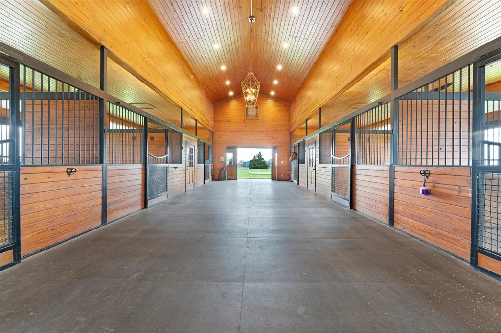 Bluebonnet Ridge - Farm