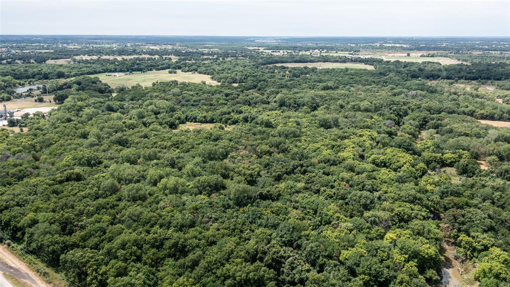 A-361 WC HALLMARK 48.0 & 1.0 ACRES - Land