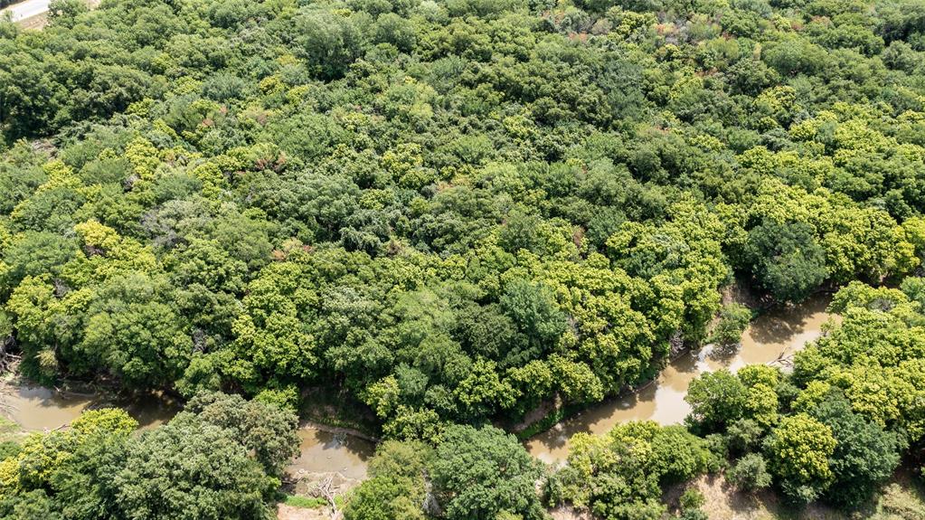 A-361 WC HALLMARK 48.0 & 1.0 ACRES - Land