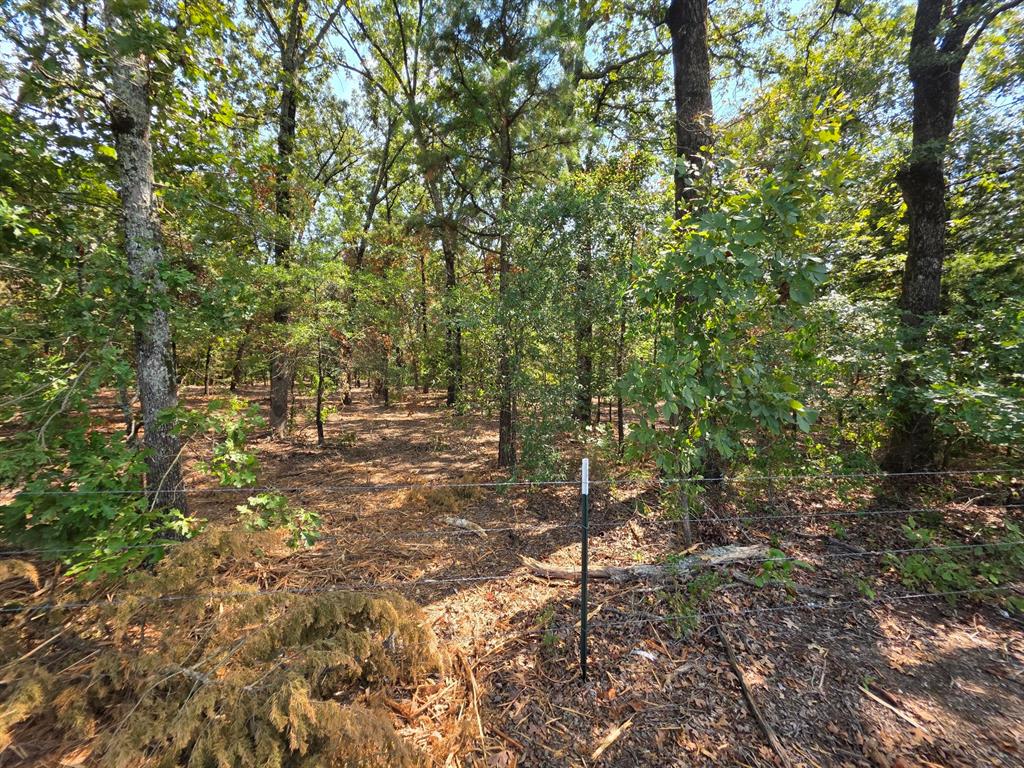 Joseph Reed Surv Abs #461 - Land