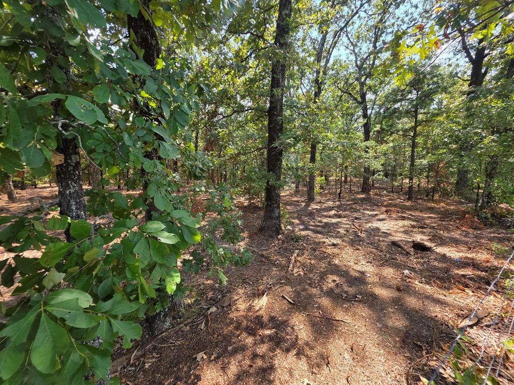 Joseph Reed Surv Abs #461 - Land