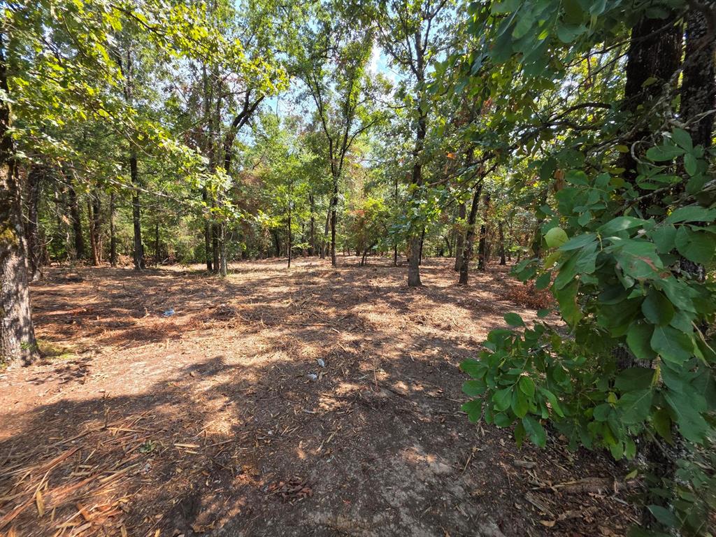 Joseph Reed Surv Abs #461 - Land