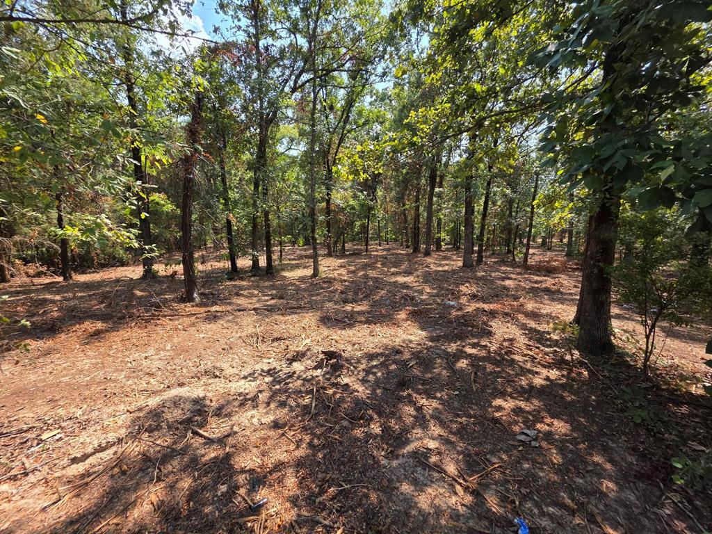 Joseph Reed Surv Abs #461 - Land