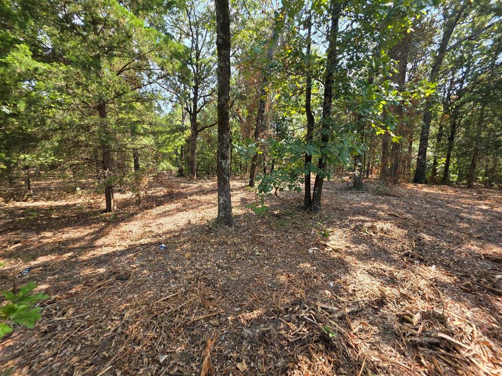 Joseph Reed Surv Abs #461 - Land