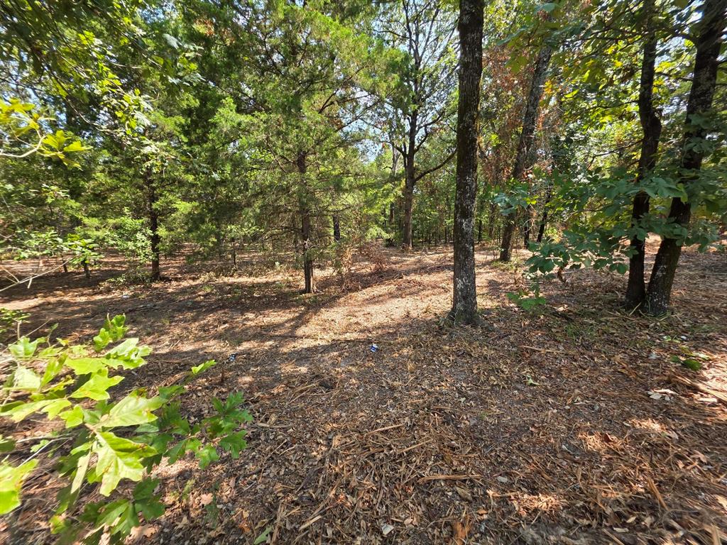 Joseph Reed Surv Abs #461 - Land