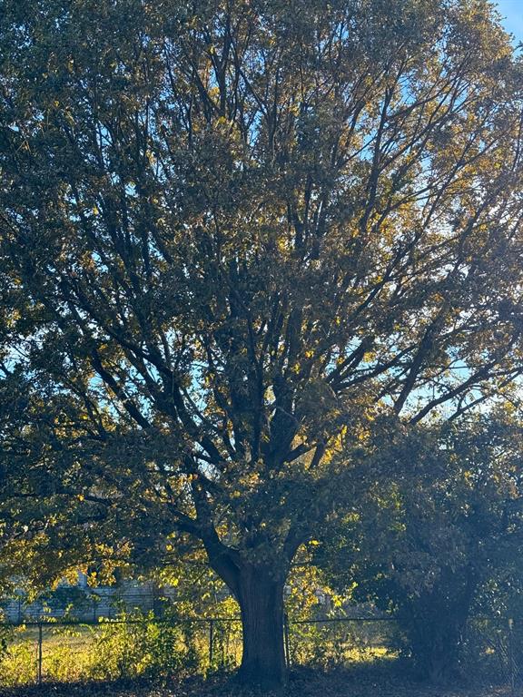 Tamarack - Residential