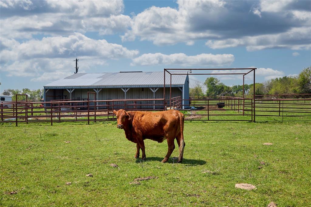 T H Stovall A1089 - Farm