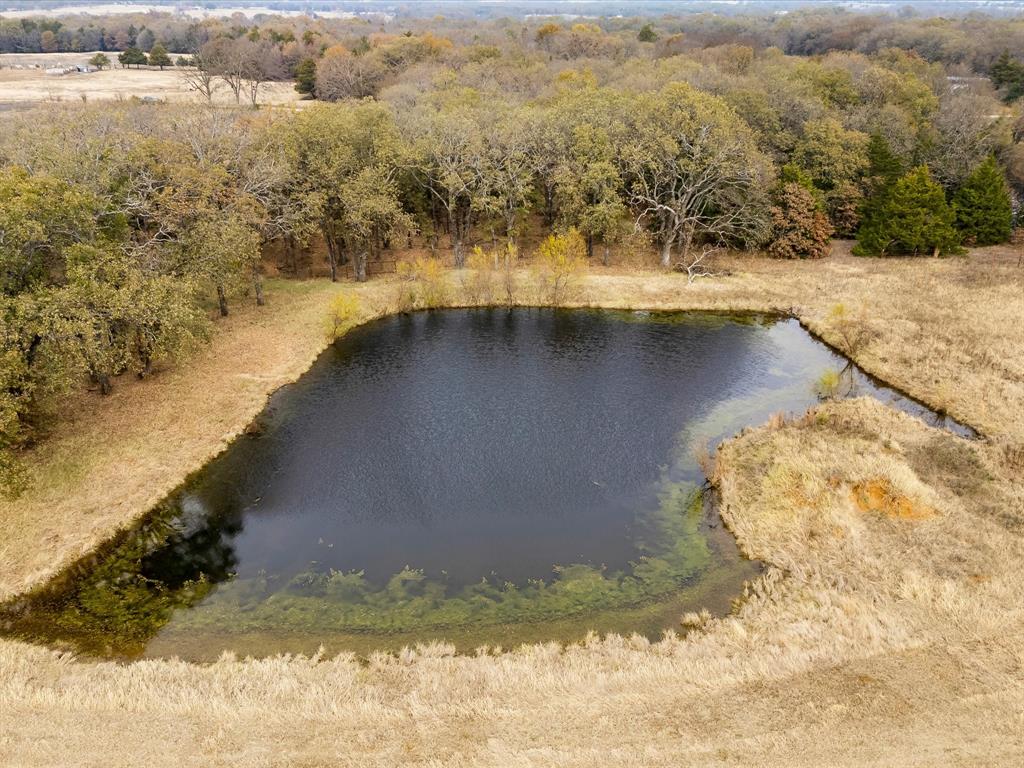 Red Top Ranch - Land