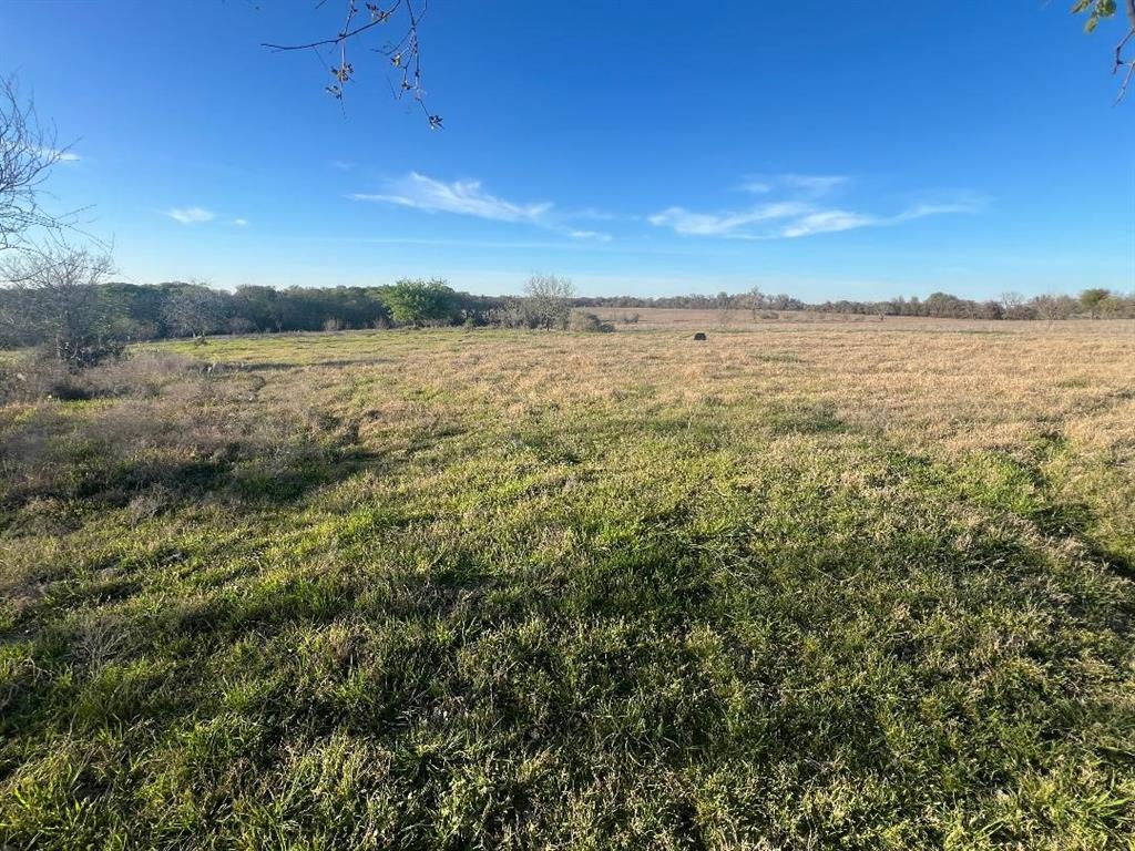 TBD Twin Cypress Lane