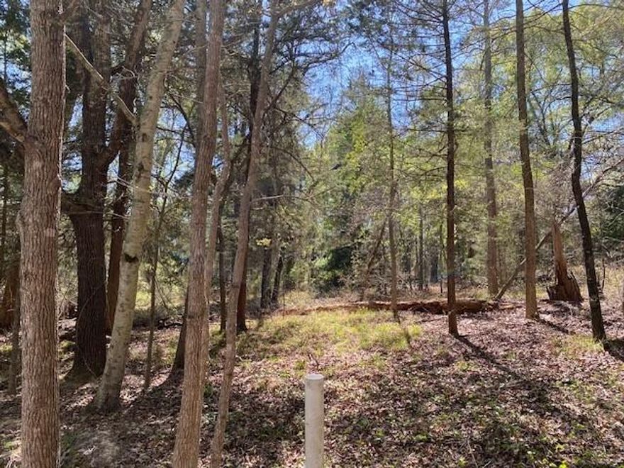 CALLENDER LAKE - .71 acre lot in the gated Callender Lake community with Callender Lake access, parks, a communitycenter, and wildlife. Enjoy this heavily wooded lot loaded with East Texas foliage. Come build, enjoy, and relax in thisfabulous community.