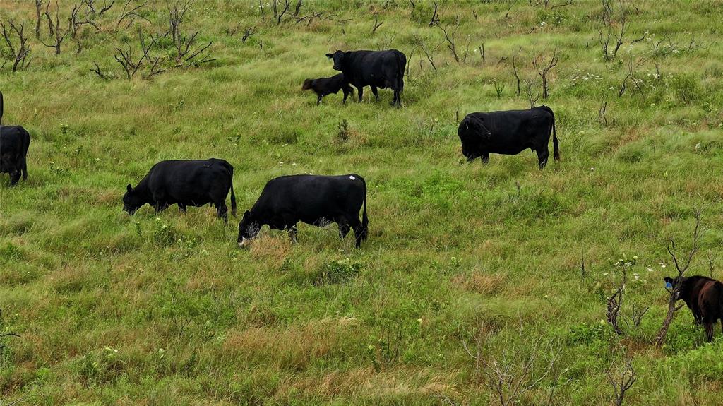BARREL SPRING RANCH - Land