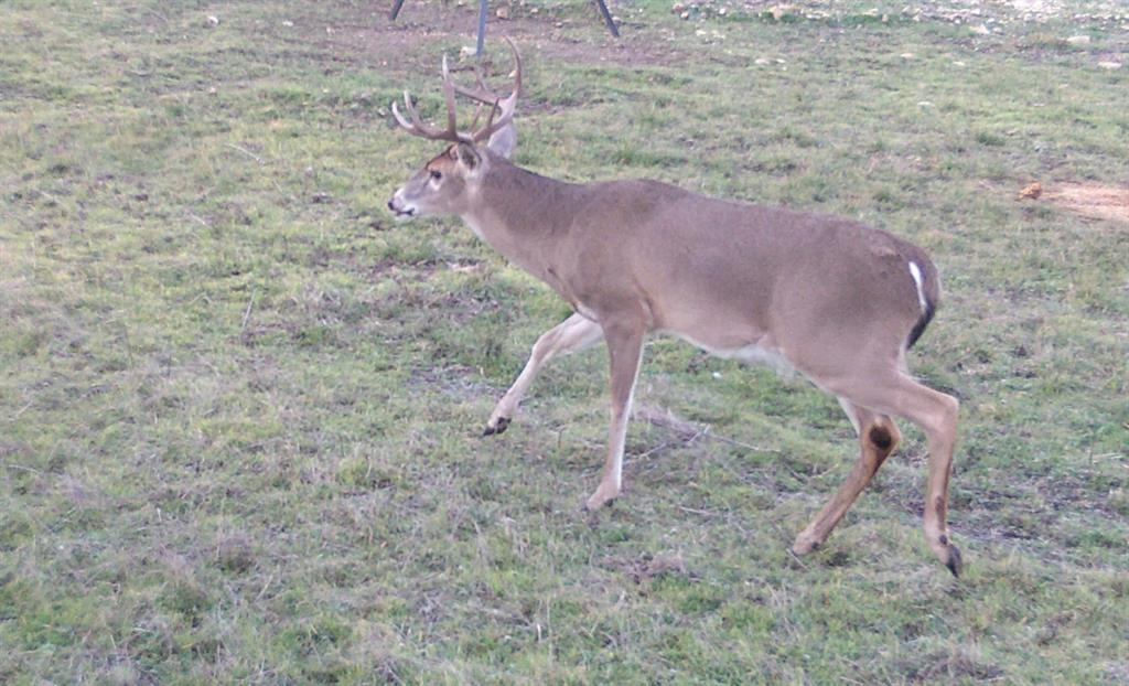 Rio Escondido - Residential