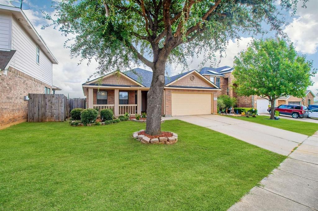 8141 Plateau Drive