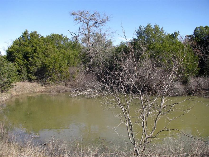 10.01 acres also known as Lot 3 in Phase 6 of Rio Escondido Subdivision in Evant, TX. The property has rolling terrain with good tree cover, primarily consisting of oaks, mesquites, and cedar. There is a stock tank with a seasonal creek running along the back of the property. The property is centrally located, being approx. 1 hour 15 minutes from Killeen, Temple & Waco, 1 hour 45 minutes from Austin, and 2 hours from Fort Worth, this is an excellent land buying opportunity. OWNER FINANCING AVAILABLE!!