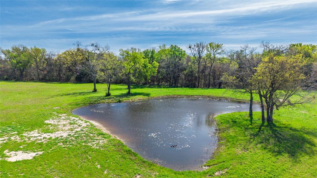 Rural 16 Acres - Land