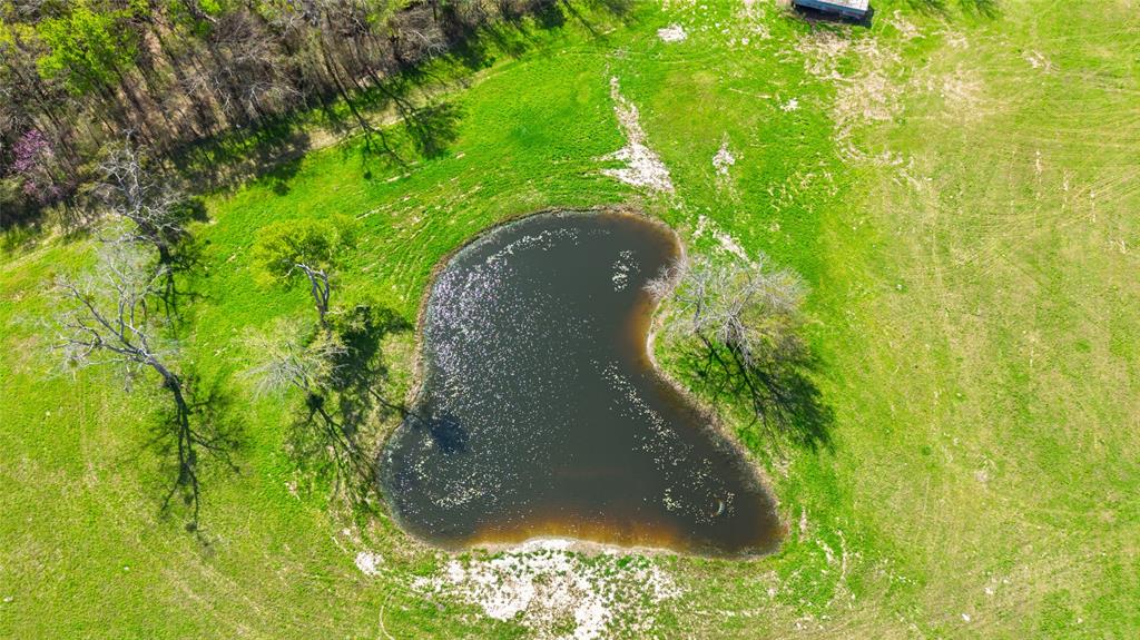 Rural 16 Acres - Land