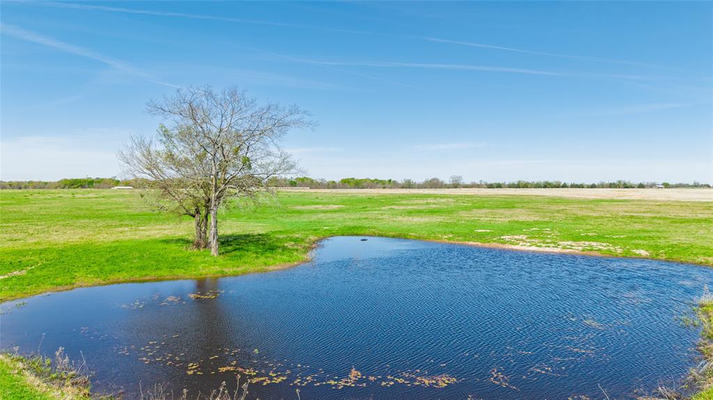 Rural 16 Acres - Land